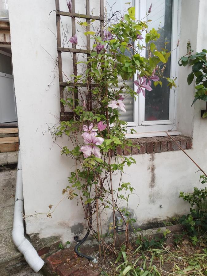Residence Alexia 索姆河畔圣瓦莱里 外观 照片